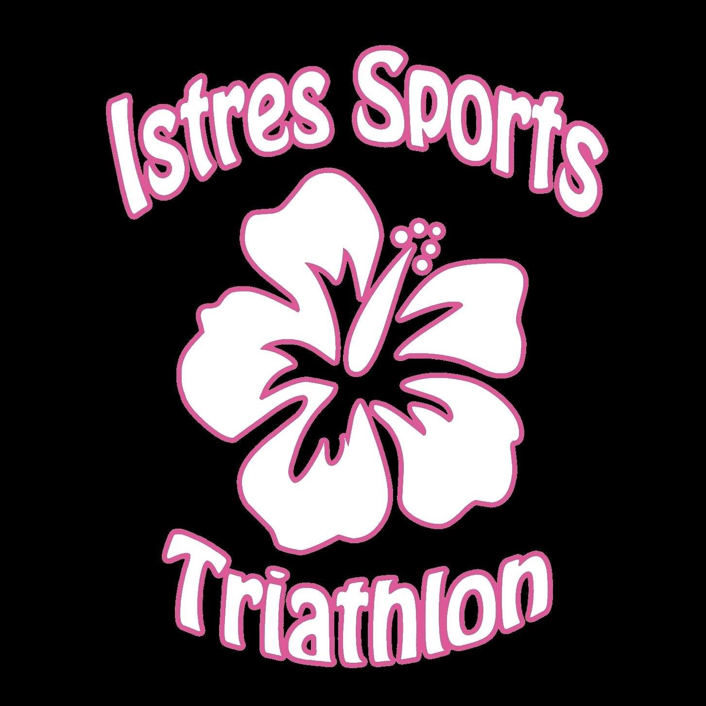 Logo de ISTR'M2022